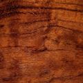 textura etimoe